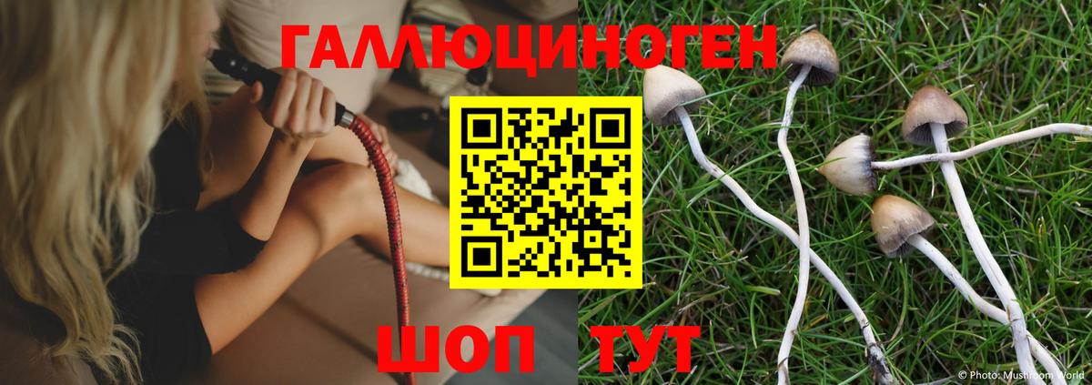 Псилоцибиновые грибы Magic Shrooms Старая Купавна